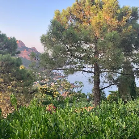 Apartamento à Anthéor Avec Vaste Piscine, Vue Et Montagne